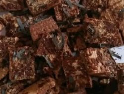 Tega, Pria Ini Bagi-bagikan Wafer Berisi Serpihan Silet dan Pisau Cutter ke Anak-anak
