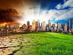 Sri Mulyani: Biaya Penanganan Climate Change Butuh Dana Rp 3.700 T