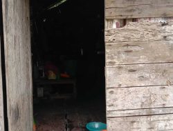 Kemana Pemerintah? Janda Lima Anak di Sambas Tak Pernah Dapat Bantuan