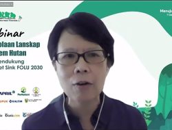 Pengelolaan Lanskap Ekosistem Hutan Untuk Mendukung Target Net Sink FOLU 2030