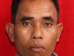 Tersangka Penyelundupan Rotan Belum Tertangkap, Pengamat: Bea Cukai Bukan Tidak Mampu, Tapi Tidak Mau