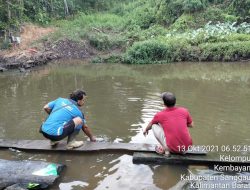 Diduga Akibat Kelalaian PT Maulana Karya Persada, Biota Sungai Maja Sebagian Terindikasi Musnah