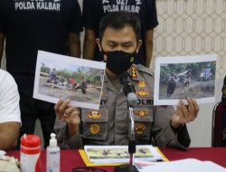 14 Hari Operasi, Polda Kalbar dan Polres Jajaran Ungkap 42 Kasus PETI yang Merusak 1.000 Hektare Lahan