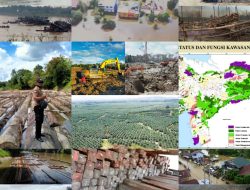 Koordinator FW & LSM Kalbar Indonesia: Kerusakan Alam Serta Hutan Salah Satu Penyebab Banjir di Kalbar