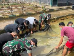 Ajarkan Budidaya Ikan, Satgas Pamtas Yonif Mekanis 643/Wns Panen Ikan Nila Bersama Warga Perbatasan