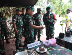 Kembangkan Sorgum di Perbatasan, Kasad Dudung Apresiasi Satgas Pamtas Yonif Mekanis 643/Wns