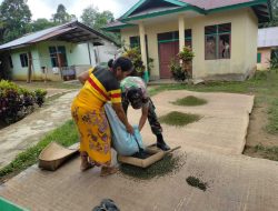 Jalin Komunikasi dan Kebersamaan, Satgas Pamtas Yonif Mekanis 643/Wns Bantu Warga Mengolah Lada