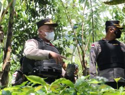 Satgas Binmas Noken Program Kasuari dukung perkebunan kopi di Distrik Oksibil