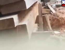 Beredar Video Adanya Pengolahan Kayu Jenis Ulin di Sungai Ambawang