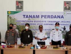 BPTP Kalbar dan Sejumlah Instansi Lakukan Tanam Perdana Jagung di Lahan Kering IP2TP Simpang Monterado Kabupaten Bengkayang