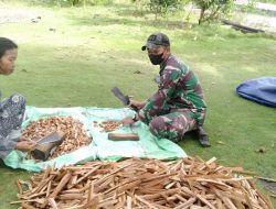 Satgas Pamtas Yonif Mekanis 643/WNS Anjangsana Bantu Pengolahan Kayu Bajakah di Perbatasan Kalbar