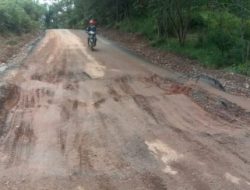 Loh! Baru Dikerjakan Jalan Simpang Tahlut Sudah Hancur Lagi? APH Diminta Segera Ambil Tindakan