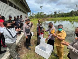 Kali Ini, Giliran Kabupaten Yahukimo Dapat Bantuan 30.000 Ekor Bibit Ikan dari Satgas Binmas Noken Ops Damai Cartenz&nbsp;
