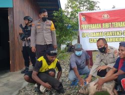 Satgasres Binmas Noken Ops Damai Cartenz Serahkan Bibit Ternak Babi Kepada Pendeta Suku Yali