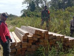 Patroli Terpadu Babinsa Koramil 12 Bersama Tim, Temukan Tumpukan Kayu Olahan Tak Bertuan di Cagar Alam Gunung Nyiut