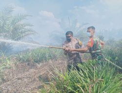 4 Hektare Lahan Kosong di Anjungan Dalam Terbakar