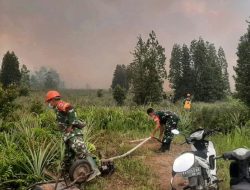 Kemarau Sebabkan Karhutla di Dua Titik Wilayah Koramil Sungai Pinyuh