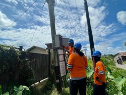 Tingkatkan Keandalan Pasokan Listrik Jelang Lebaran, PLN UP2D Gencar Lakukan Pemeliharaan Jaringan Listrik