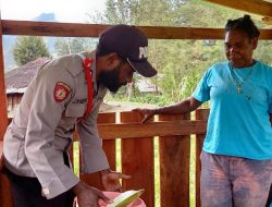 Giat Program Kasuari, Satgas NODC Sasar Spot Ternak Babi di Distrik Ilaga