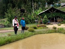 Program Kasuari Satgasres Binmas NODC Sasar Spot Budidaya Peternakan Ikan di Yokatapa Sugapa