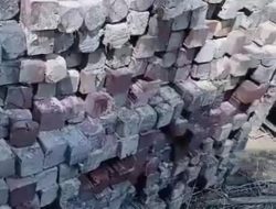 Dianggap Jadi Biang Kerusakan Hutan di Kalbar, APH Diminta Tindak Tegas Sejumlah Perusahaan Sawmill di Tiga Kabupaten Ini