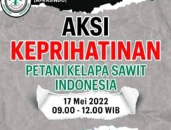 DPP Apkasindo Sanggau Bakal Gelar Aksi Demonstrasi Buntut Pelarangan Ekspor Migor dan CPO