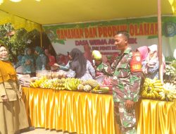 Wakili Danramil, Babinsa Jongkat Dampingi Tim Penilai Lomba Dasa Wisma PKK se-Kecamatan&nbsp;