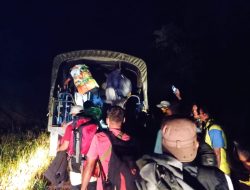 Satgas Pamtas Yonarmed 19 Bogani Amankan 43 PMI Non Prosedural