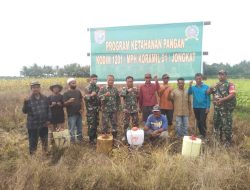 Tingkatkan Ketahanan Pangan Daerah, Babinsa Wajok Hilir Bersama Poktan Kaya Bersama Bangun Lahan Produktif Seluas 1 Hektare