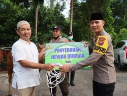 Berbagi Berkah di Hari Raya Idul Adha 1443 H, Kapolres Kubu Raya Serahkan Hewan Kurban kepada Ketua Pengurus Masjid Awaluddin