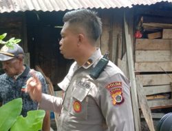Tingkatkan Program Kasuari, Satgasres Binmas Ops Damai Cartenz Cek Spot Ternak Babi Binaan Milik Kepala Suku Hubla