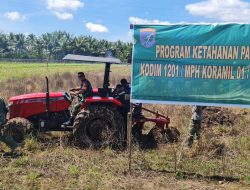 Tingkatkan Ketahanan Pangan Daerah, Danramil Jongkat Bersama Poktan Kaya Bersama Bangun Lahan Produktif di Dusun Simpang Empat Palawija