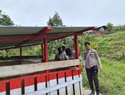 Tingkatkan Program Kasuari, Satgasres Binmas Ops Damai Cartenz Cek Ternak Babi Milik Selfeter Uropka.