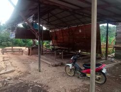 Ketua KIN Projamin dan Koordinator FW & LSM Kalbar Indonesia: Pemerintah dan Masyarakat Kesulitan Kayu untuk Sejumlah Proyek serta Bangunan