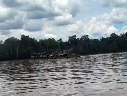Aktivitas PETI di Desa Tertung Kembali Menunjukkan Aksinya, Hingga Mengakibatkan Pencemaran Sungai&nbsp;