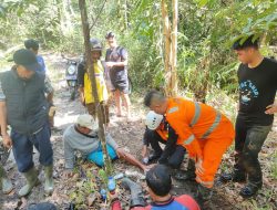 Misteri Tiga Warga yang Hilang Pas Buka Lahan Kebun Sawit, Ditemukan Selamat