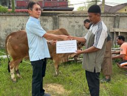 Dermawan Kota Singkawang: Kisah Toni Haryadi dan Sapi Kurban Menyentuh Hati di Idul Adha 1446 Hijriah