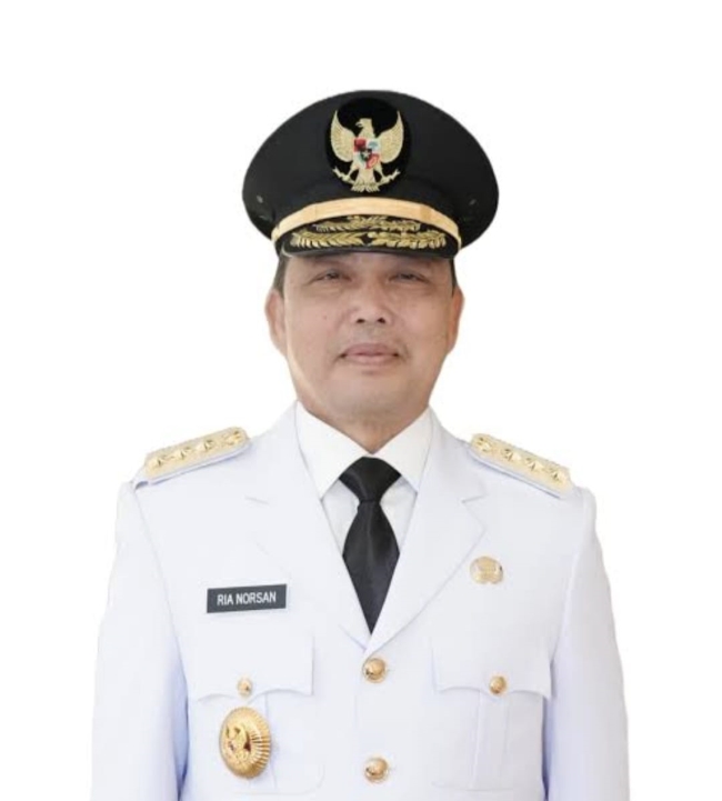 Gubernur Kalimantan Barat Ria Norsan