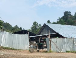 Lapor Pak Kapolri H Endang Diduga Kuat Bos PETI di Sekinyak Bengkayang Tidak Tersentuh Hukum