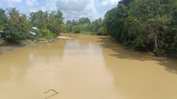 PRESIDEN PRABOWO SUBIANTO WAJIB BACA! Sungai Sekadau Merintih: PETI Ganas, Oknum Aparat Bermain Mata