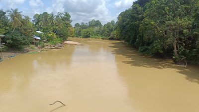 Beginilah kondisi Sungai Sekadau di Kalimantan Barat terancam rusak parah akibat maraknya aktivitas Pertambangan Emas Tanpa Izin (PETI). Dampaknya, air berubah keruh, ikan mati massal, dan masyarakat kehilangan sumber kehidupan.