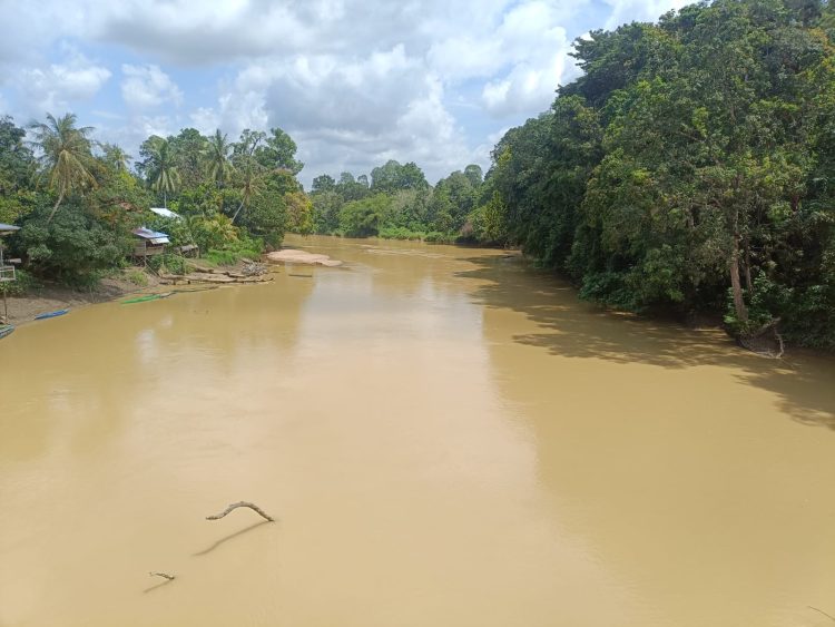 Beginilah kondisi Sungai Sekadau di Kalimantan Barat terancam rusak parah akibat maraknya aktivitas Pertambangan Emas Tanpa Izin (PETI). Dampaknya, air berubah keruh, ikan mati massal, dan masyarakat kehilangan sumber kehidupan.