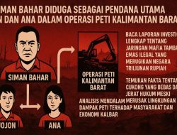 SIMAN BAHAR Pendana Donatur Jojon dan Ana Soal PETI Kalimantan Barat: Cukong Berkeliaran Hukum Tumpul