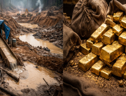 Jejak Dana Tambang Ilegal Rp992 Triliun Terkuak, Aliran Transaksi Diduga Terkait Jaringan Siman Bahar hingga Rekening Aktif di Kalbar