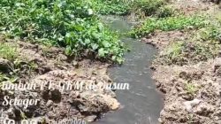 FW & LSM Kalbar Indonesia Laporkan, Aliran Limbah CPO PT GKM Grup HPI ke Sungai Sekayam Tidak Tersentuh Hukum