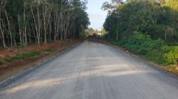 Pembangunan jalan desa di Sintang membawa dampak besar bagi akses, distribusi ekonomi, dan kesejahteraan warga Paoh Benua dan Paribang Baru.