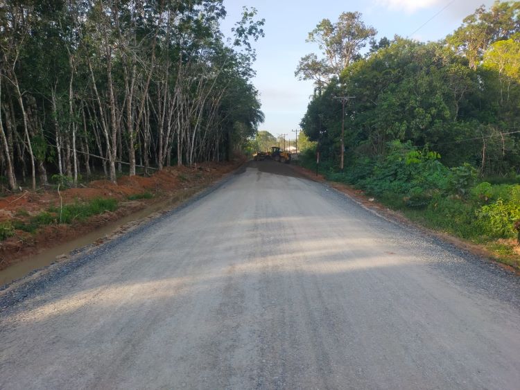 Pembangunan jalan desa di Sintang membawa dampak besar bagi akses, distribusi ekonomi, dan kesejahteraan warga Paoh Benua dan Paribang Baru.