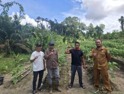 Program MUSPEMMAS ANTAM Dorong Kemandirian Ekonomi Warga Tayan Hilir