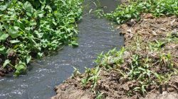 Sungai yang Mati, Negara yang Diam