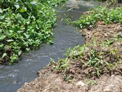 Sungai yang Mati, Negara yang Diam
